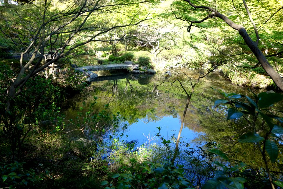 Ikedayama Park - Shinagawa, Tokyo - DSC00956
