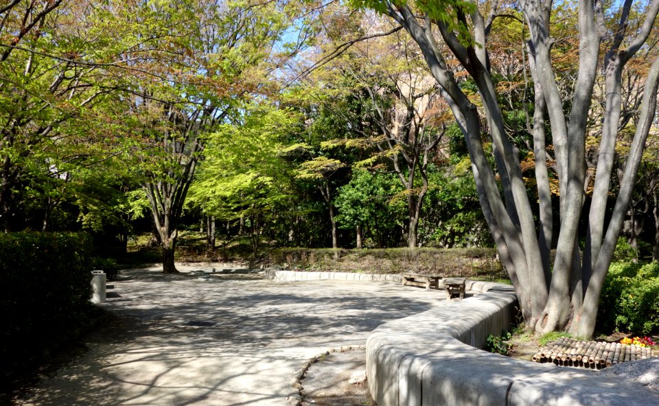 Ikedayama Park - Shinagawa, Tokyo - DSC00988