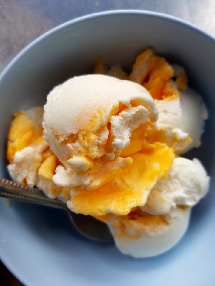 Ice cream with egg yolk - 2017-04-29 (002)