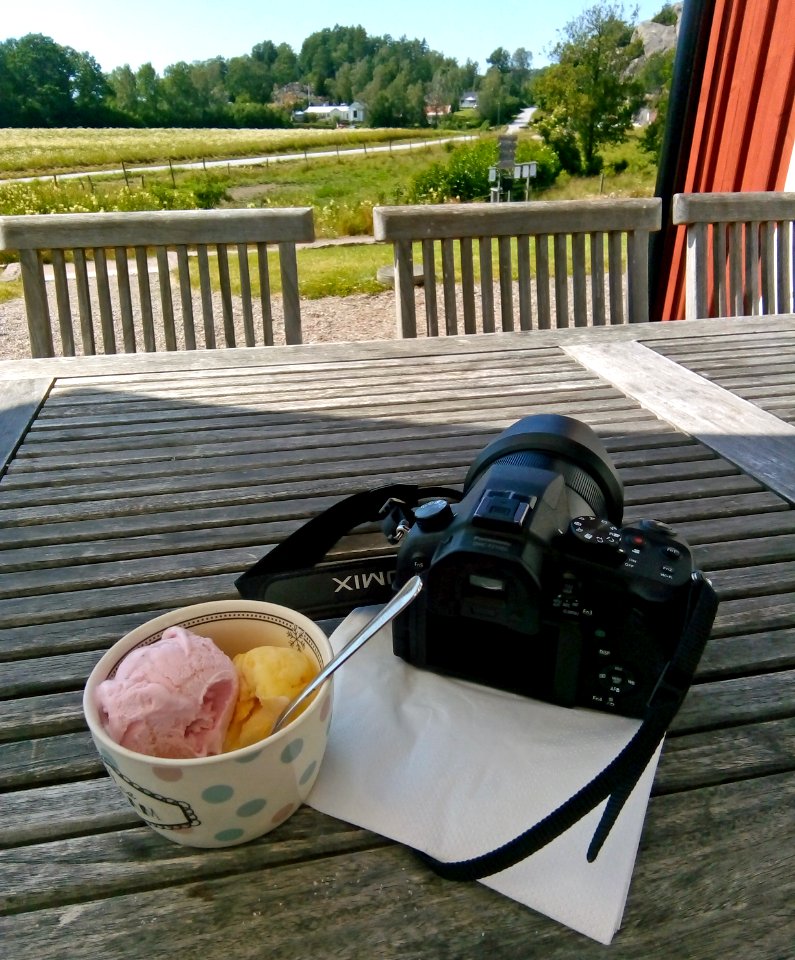 Ice cream at Röe Gård
