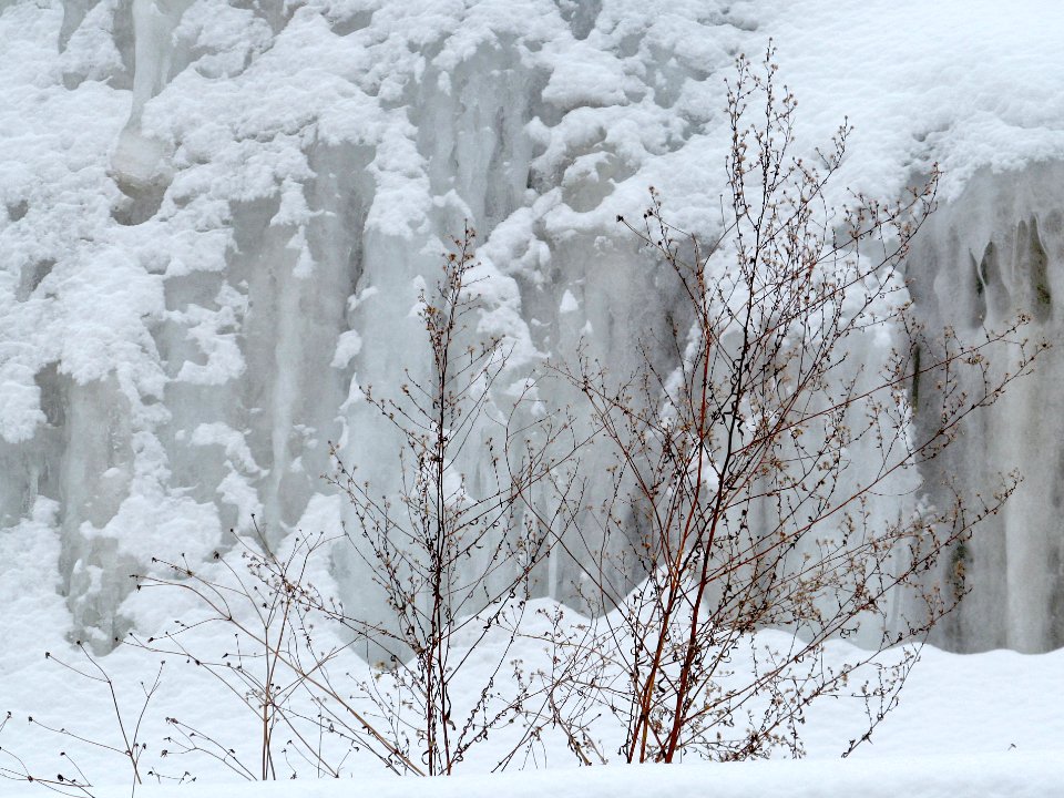 Icicles, Banksville, 2021-02-18, 02