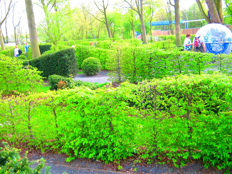 IGS Garten klangvoll