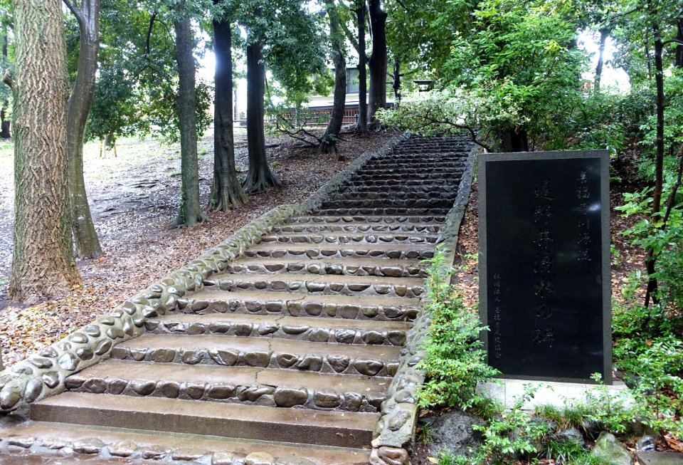 Ichikishima Shrine stairs - Zenpukuji Park - Suginami, Tokyo - DSC01795