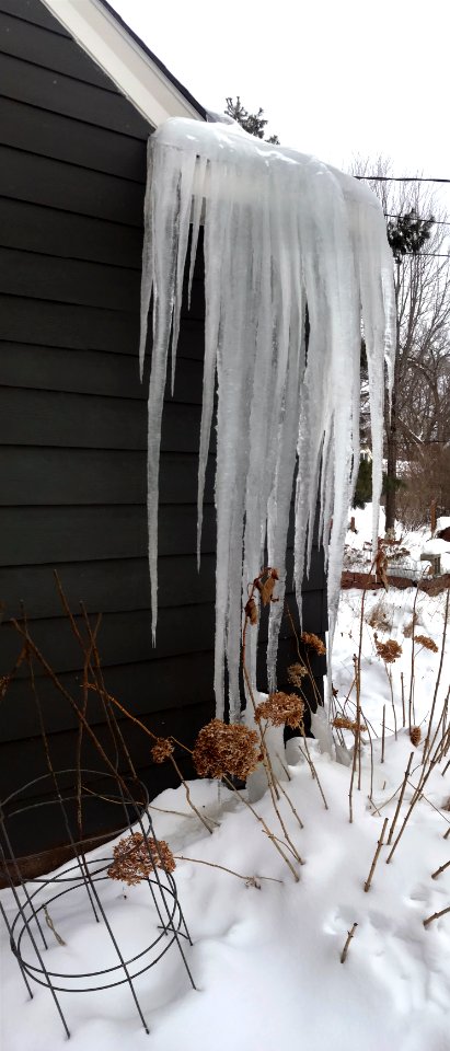 Ice Dam on a story and a half house, Minnesota-03