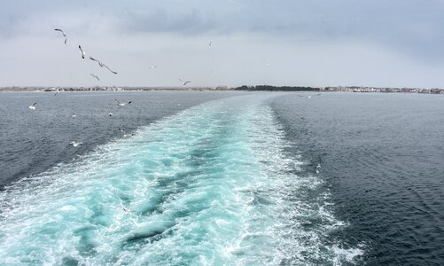 Ferry greek life photo