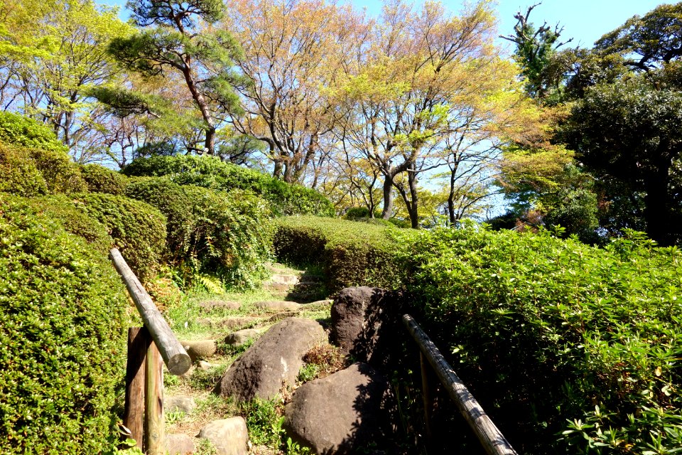 Ikedayama Park - Shinagawa, Tokyo - DSC00972