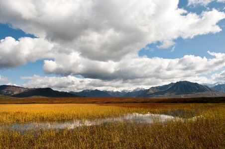 Nature wilderness water