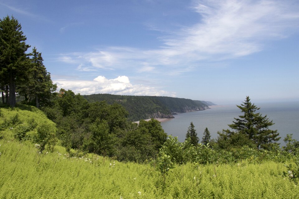 Fundy water landscape