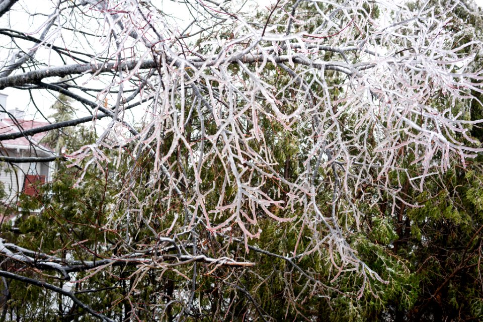 Ice Storm Ottawa Canada 4 April 2018 (253918943)