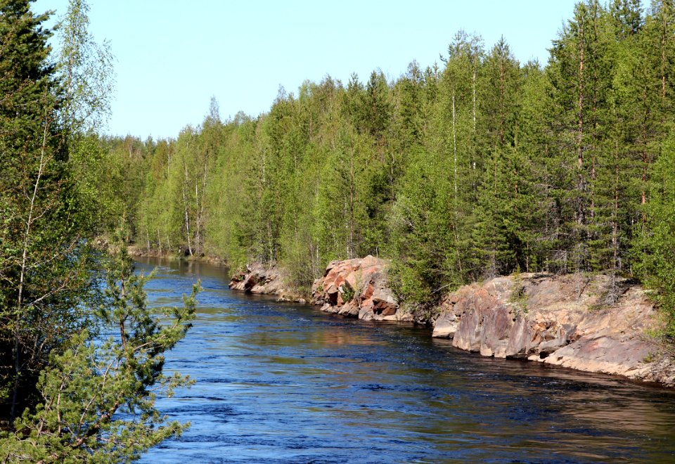 Iijoki Oulu 20130526