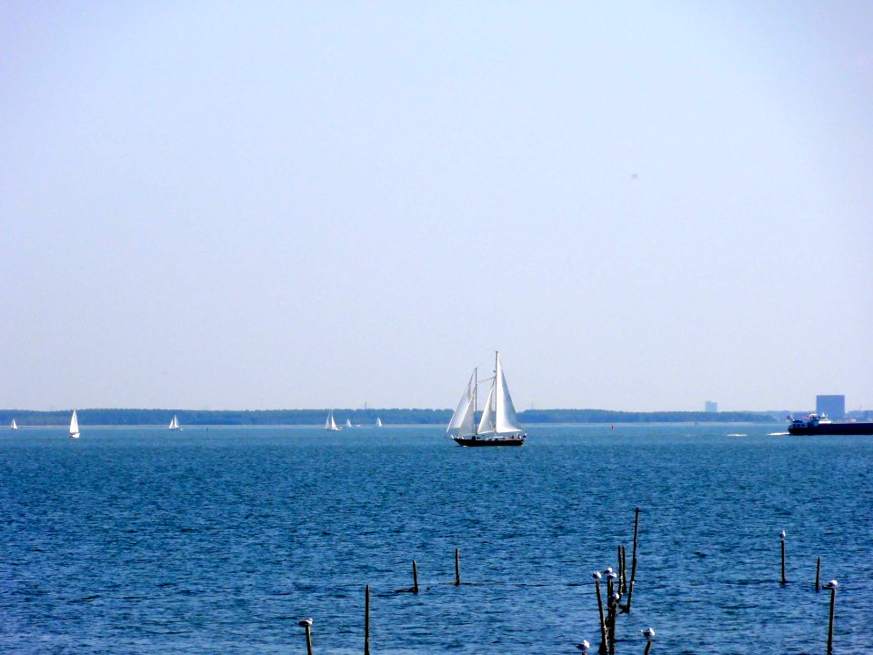 IJmeer4