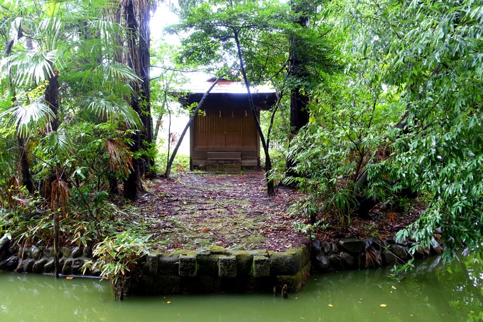Ichikishima Shrine - Zenpukuji Park - Suginami, Tokyo - DSC01791