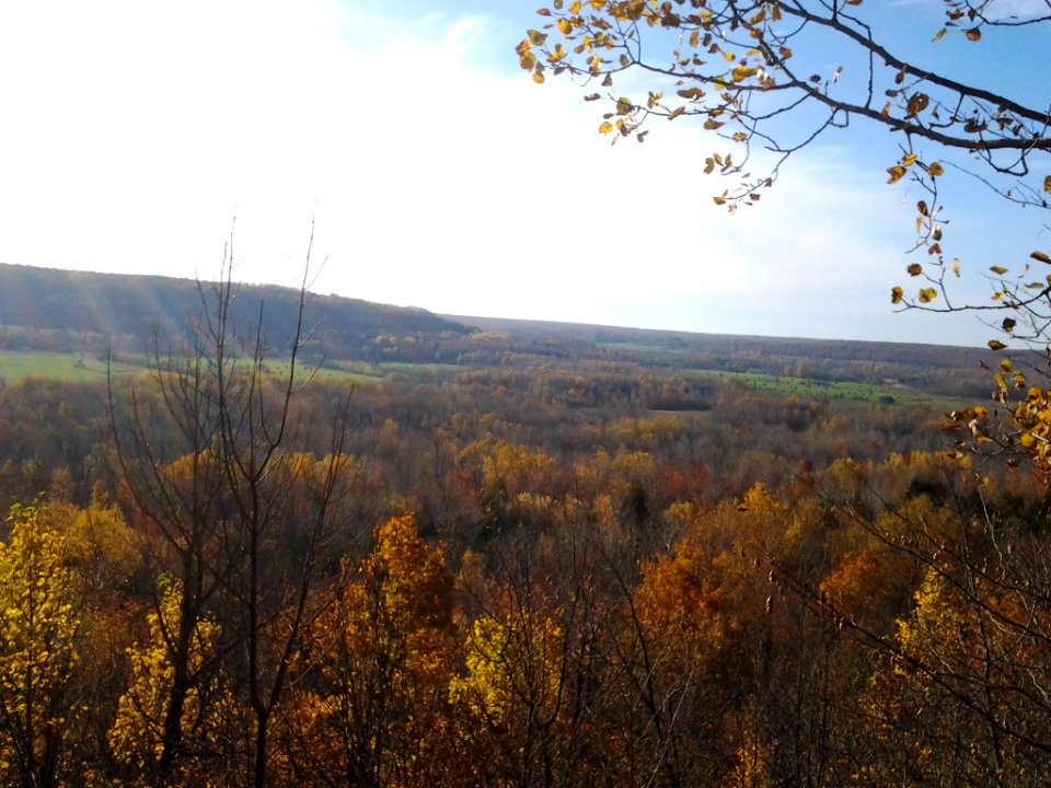 Jones Bluff, Ontaio 2017-10-22 10.13.02