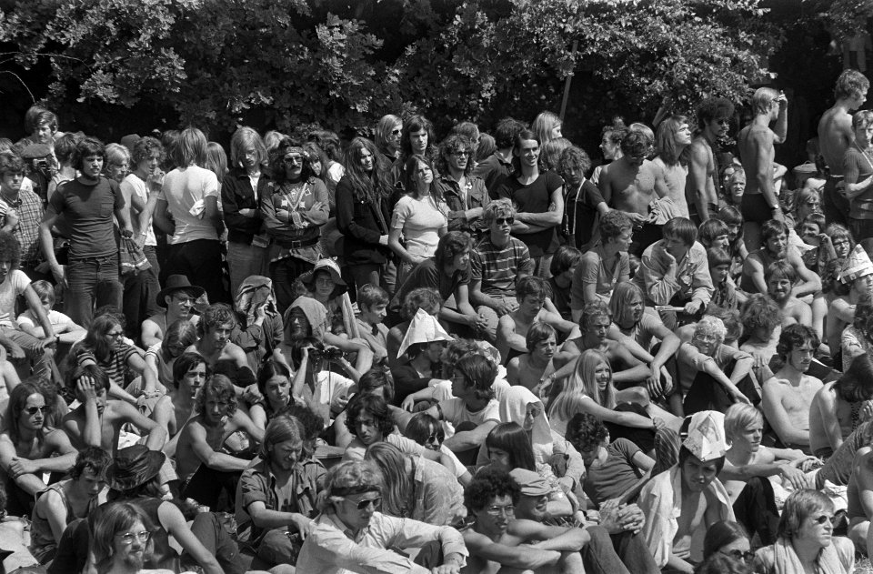 Jong festivalpubliek in warm Kralingse Bos, Bestanddeelnr 923-6267