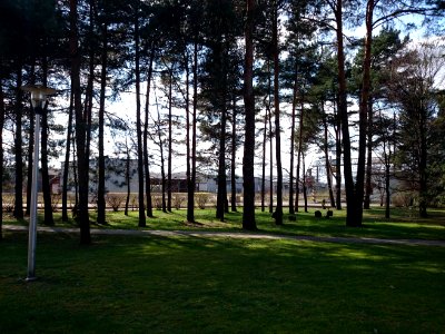 Jonava Forestry 0