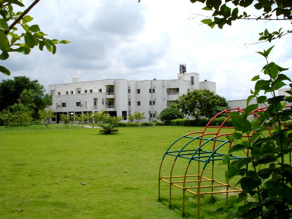 IIITA FacultyGarden