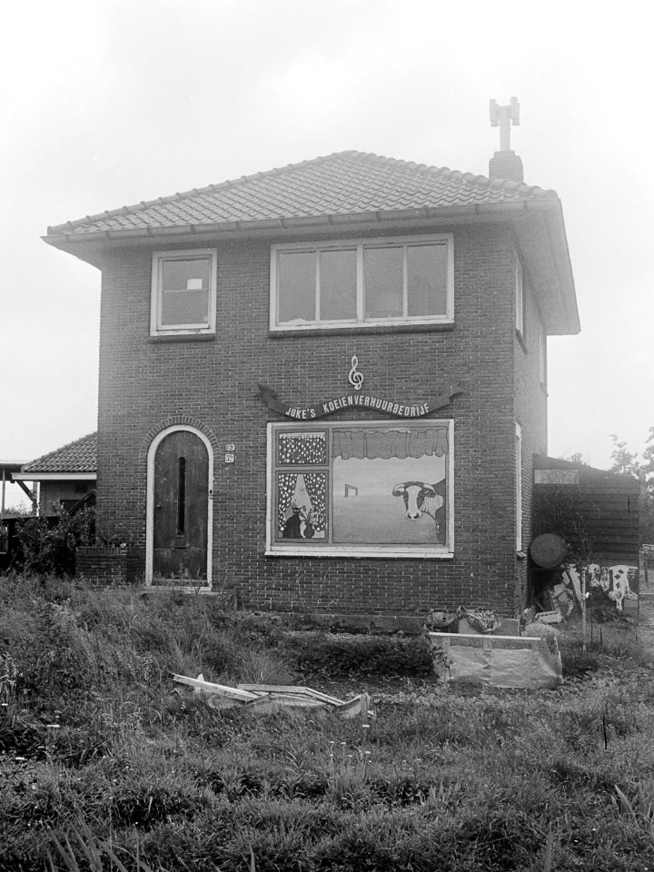 Joke's koeienverhuurbedrijf (1979)