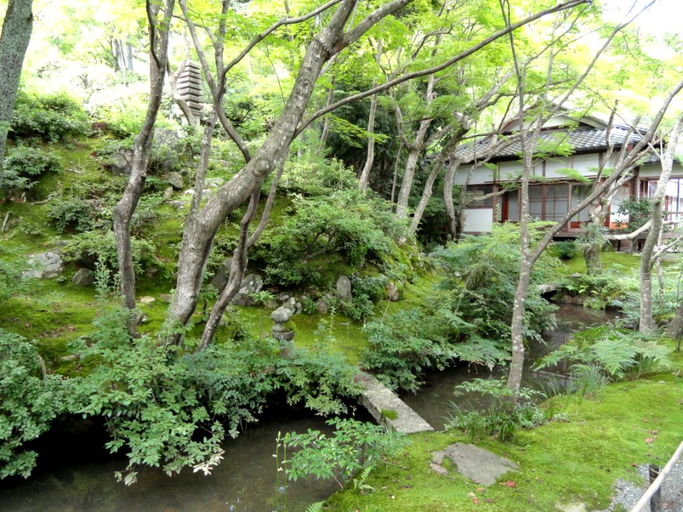 Jojakkoji - Kyoto - DSC06166