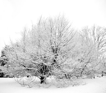 Torino turin winter