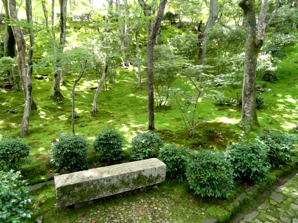 Jojakkoji - Kyoto - DSC06197