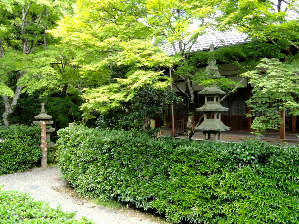 Jojakkoji - Kyoto - DSC06151