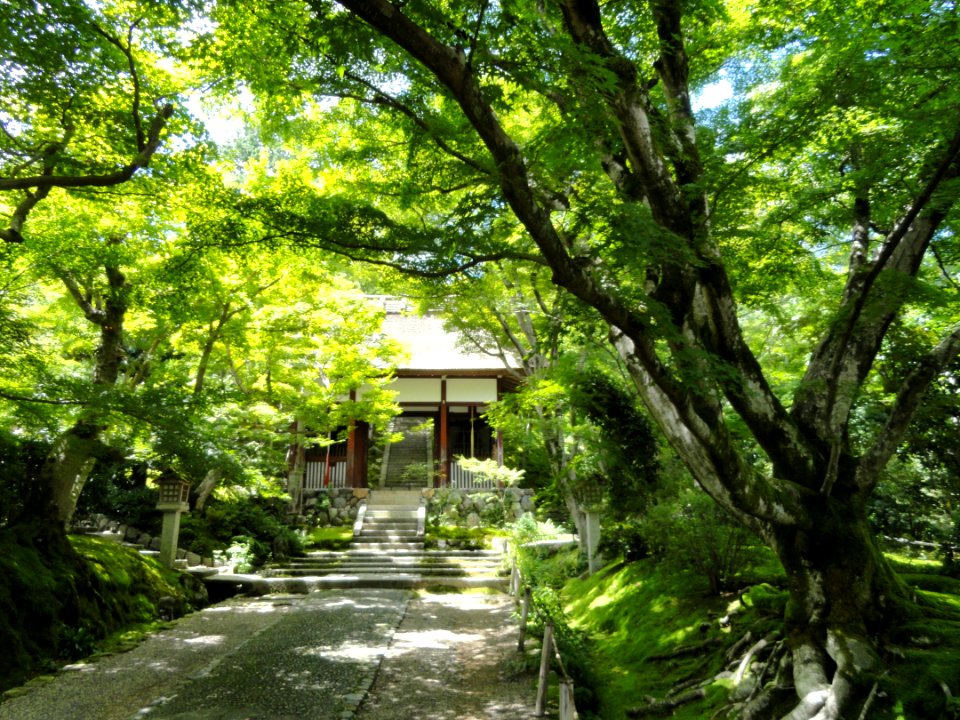 Jojakkoji - Kyoto - DSC06138