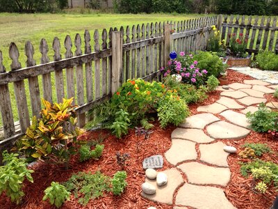 Herb fence summer