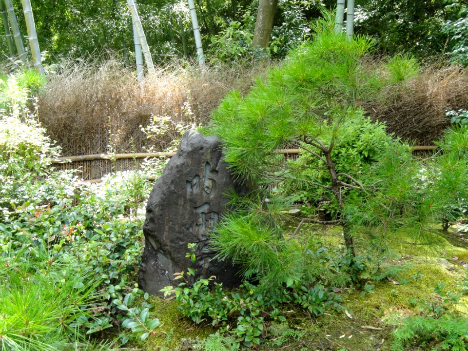 Jojakkoji - Kyoto - DSC06182