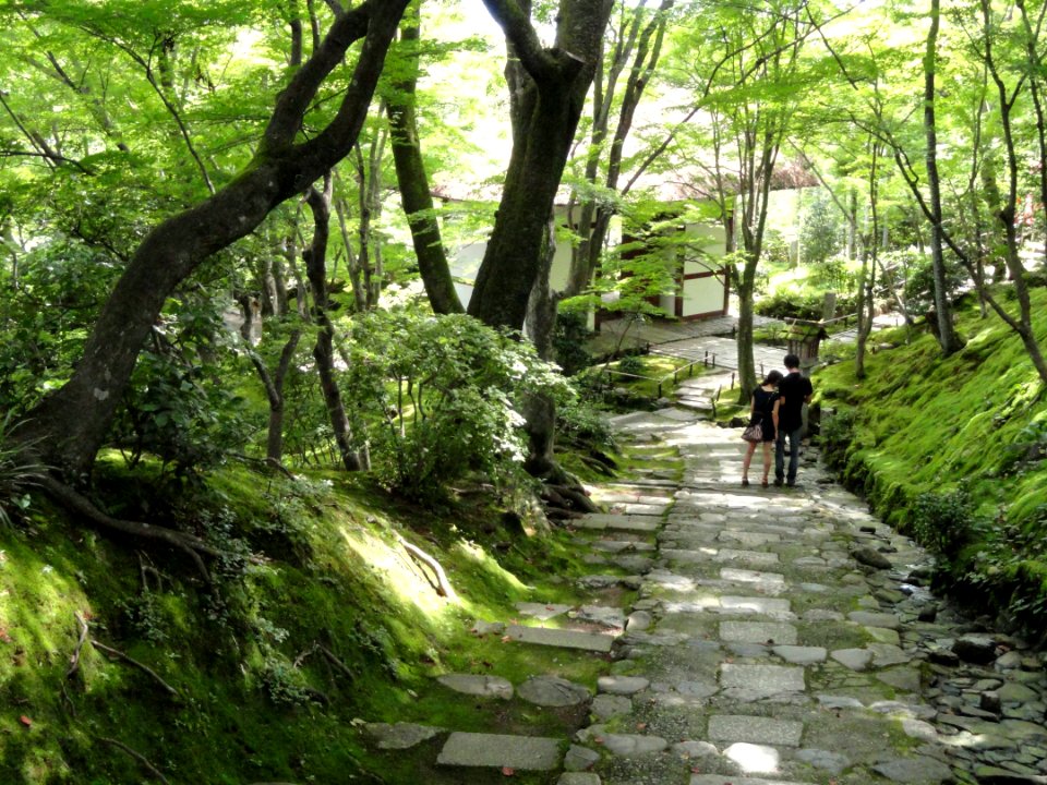 Jojakkoji - Kyoto - DSC06186