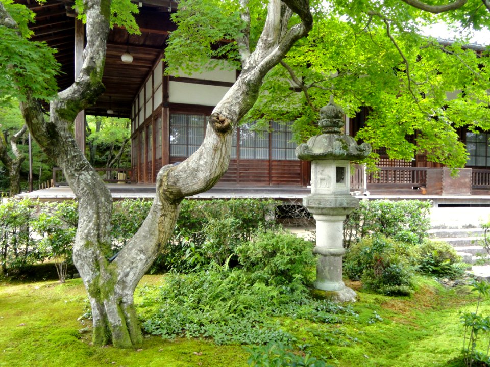 Jojakkoji - Kyoto - DSC06154