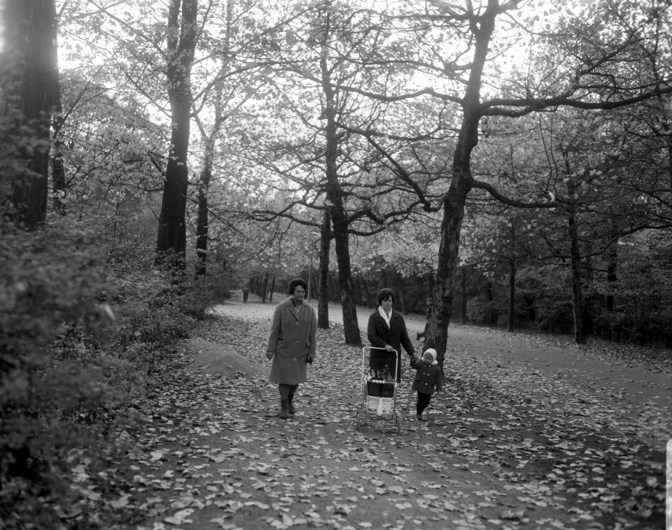 Jong gezin maakt een wandeling door het park, Bestanddeelnr 919-7421
