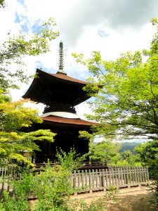 Jojakkoji - Kyoto - DSC06180