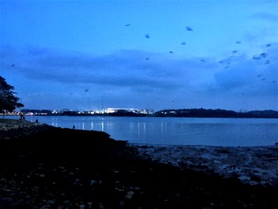 Johor Straits 6