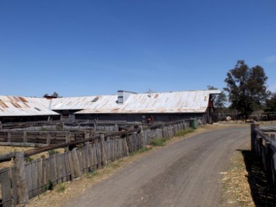 Jondaryn Woolshed