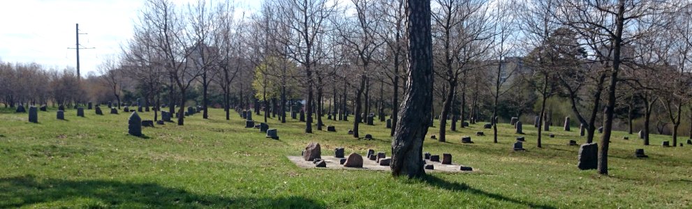 Jonava žydų kapinės