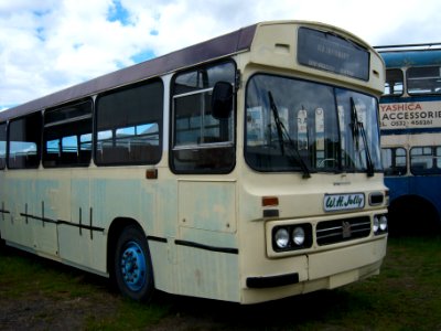 Jolly Bus bus (BGR 684W), NELSAM, 27 June 2015 (2)
