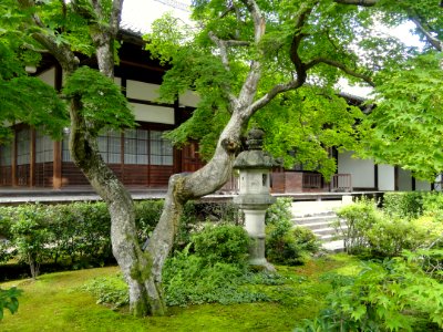 Jojakkoji - Kyoto - DSC06152