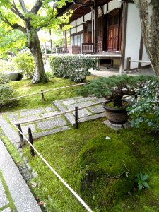 Jojakkoji - Kyoto - DSC06158