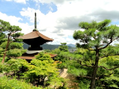 Jojakkoji - Kyoto - DSC06175