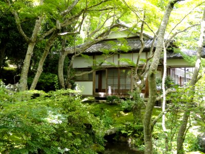 Jojakkoji - Kyoto - DSC06169