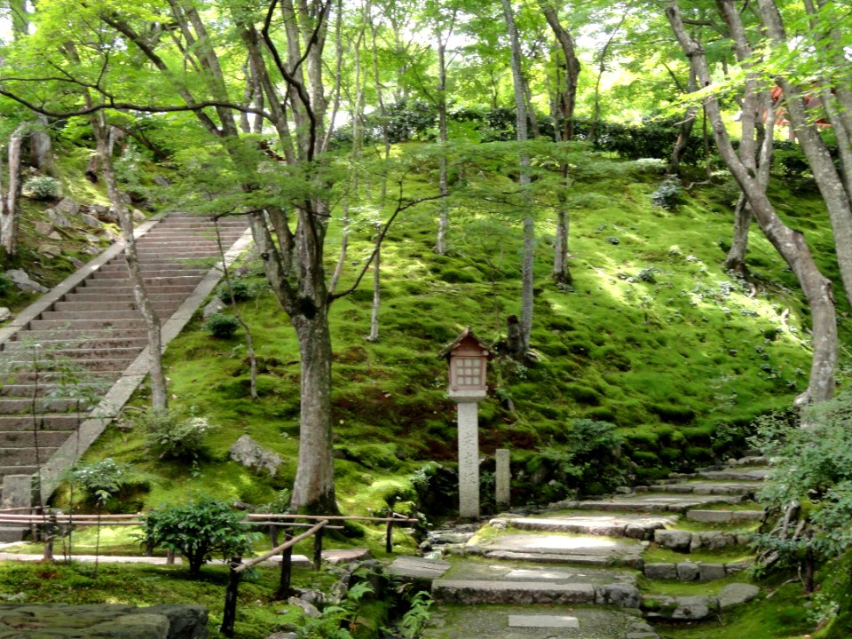 Jojakkoji - Kyoto - DSC06202