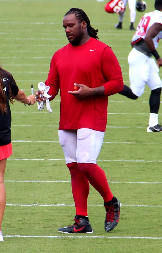 Jonathan Babineaux 2016