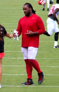 Jonathan Babineaux 2016