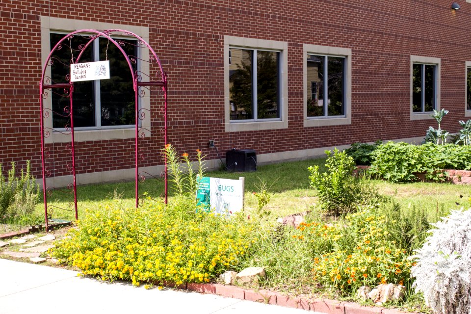 John H. Reagan High School - 09 - Garden
