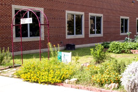 John H. Reagan High School - 09 - Garden