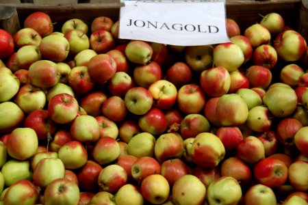 Jonagold (apple) 1