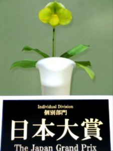 JGP16Paph
