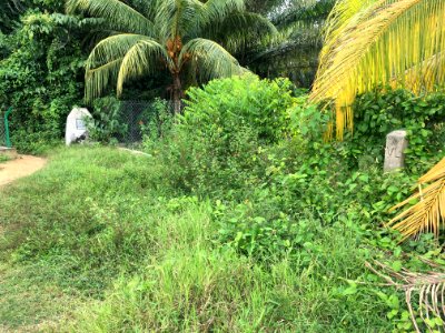 Johor-Melaka boundary stone 8