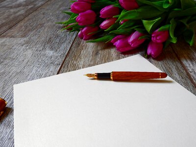 Filler fountain pen writing utensil