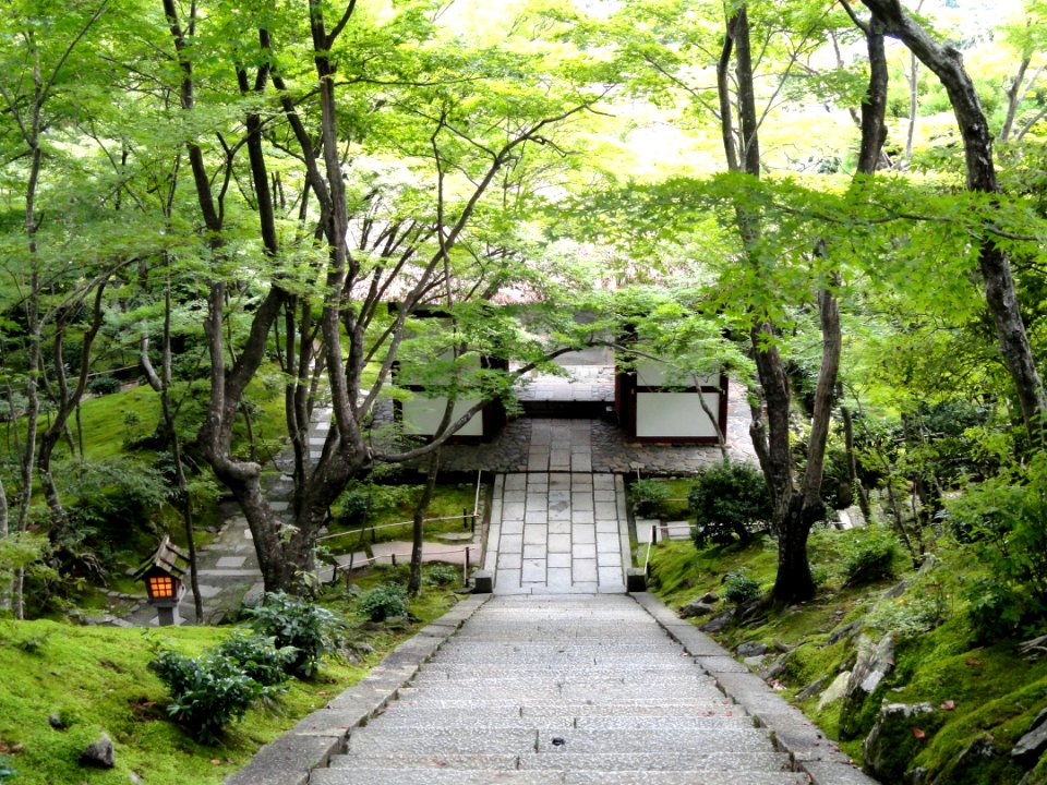 Jojakkoji - Kyoto - DSC06155
